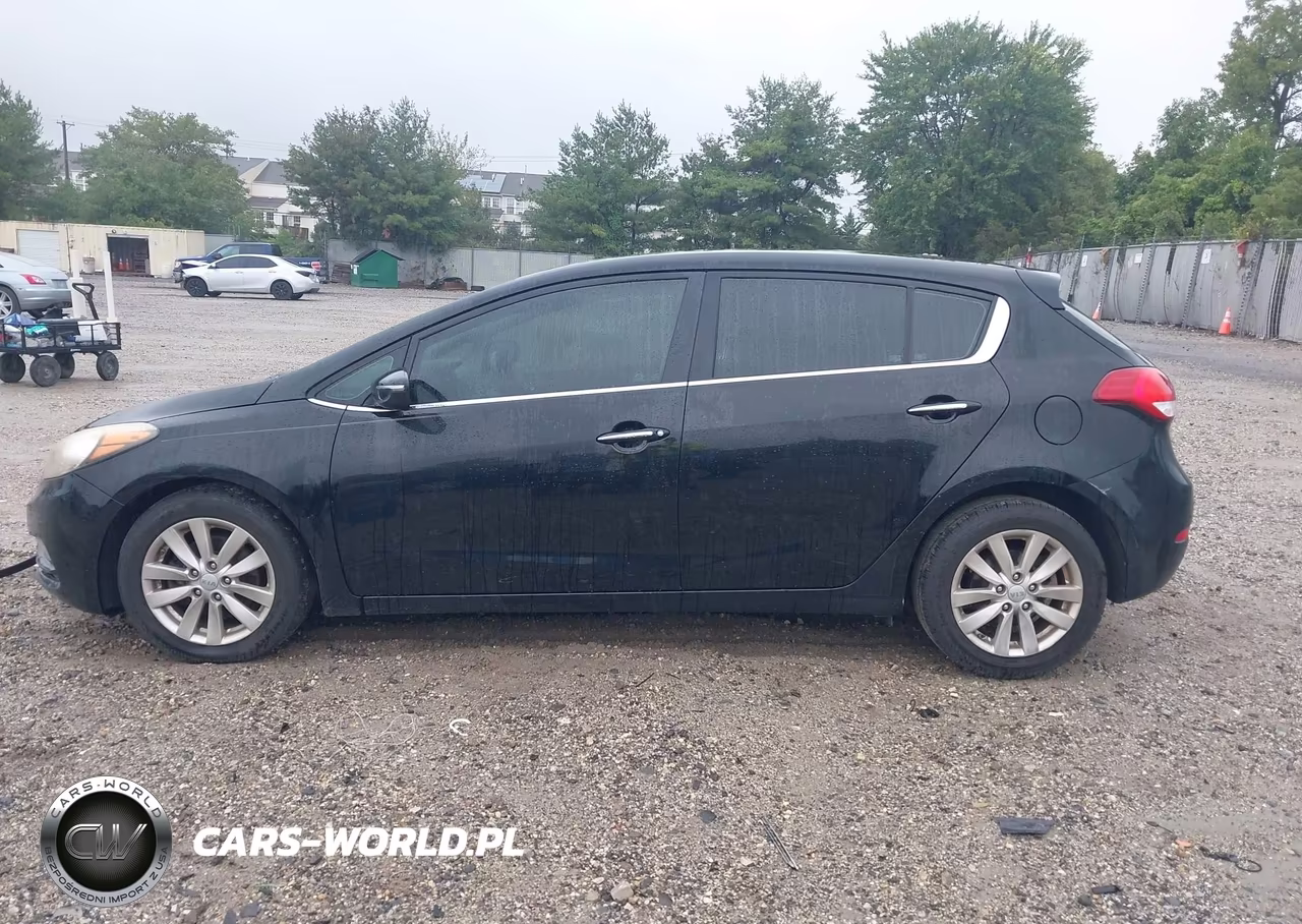 2014 Kia Forte Ex VIN:KNAFX5A85E5219499 - 15