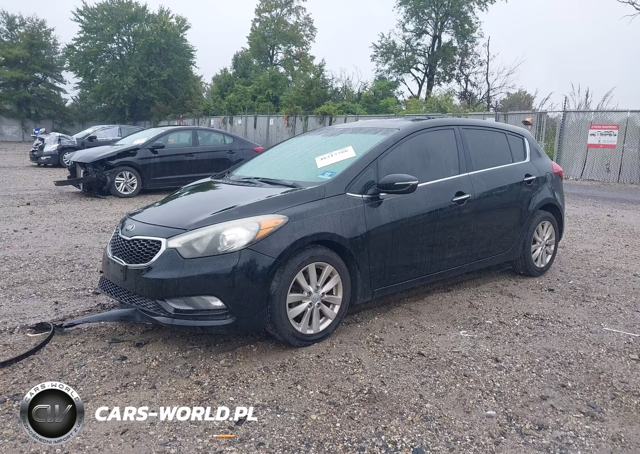 2014 Kia Forte Ex VIN:KNAFX5A85E5219499 - 2