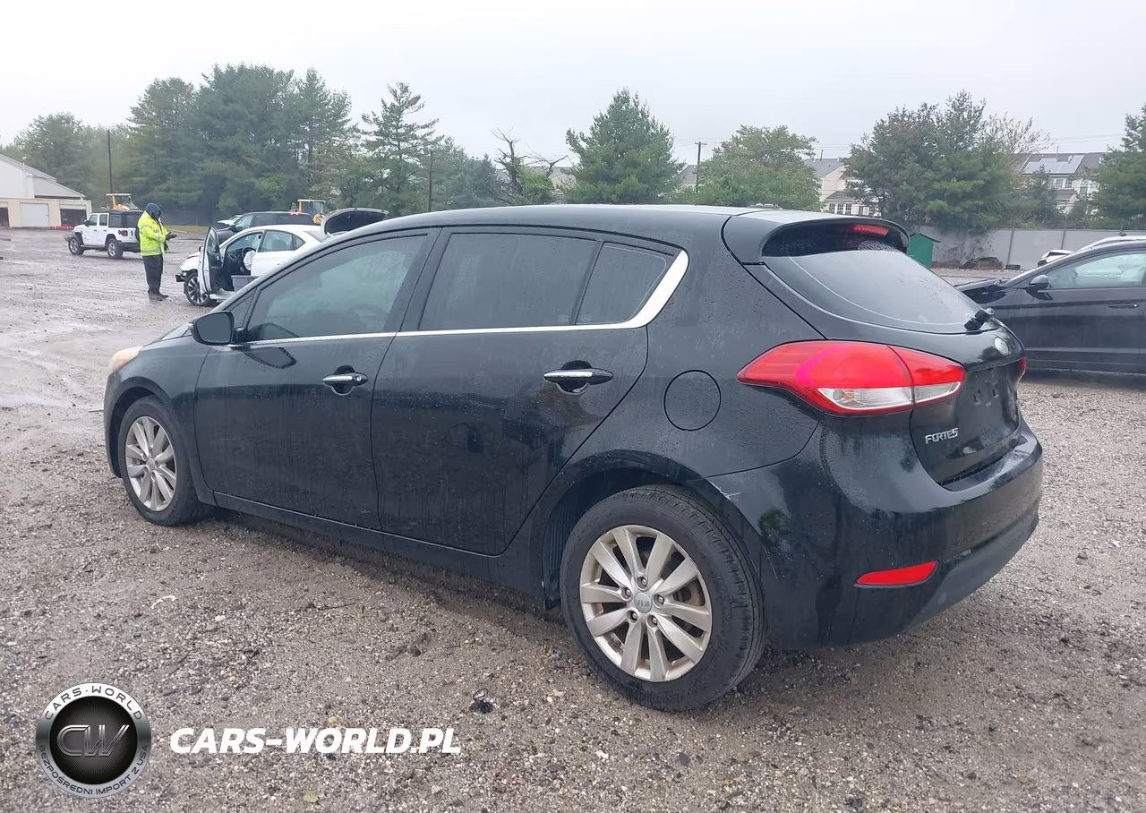 2014 Kia Forte Ex VIN:KNAFX5A85E5219499 - 3