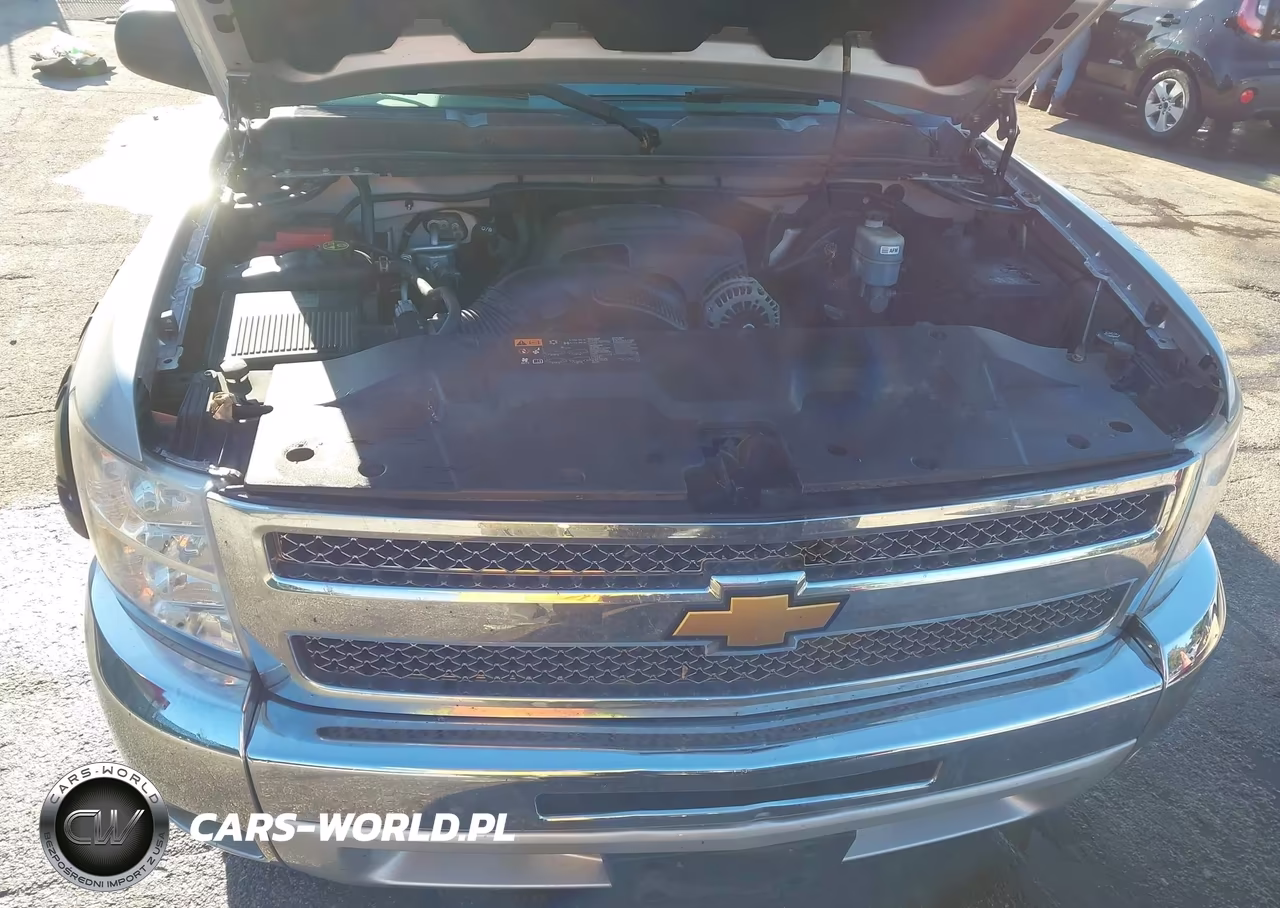2013 Chevrolet Silverado 1500 Lt VIN:1GCRCSE00DZ106100 - 10