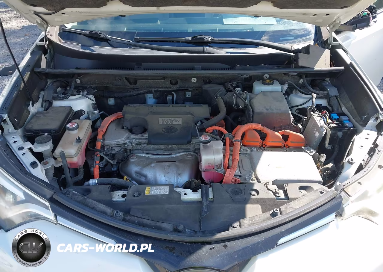 2016 Toyota Rav4 Hybrid Limited VIN:JTMDJREV2GD048660 - 10