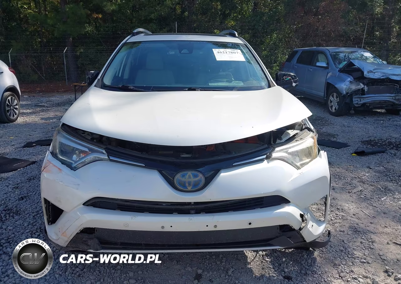 2016 Toyota Rav4 Hybrid Limited VIN:JTMDJREV2GD048660 - 12