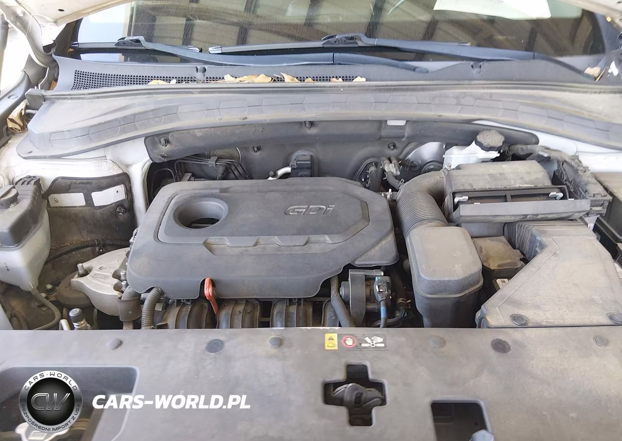 2019 Hyundai Santa Fe Sel Plus VIN:5NMS33AD9KH134401 - 10