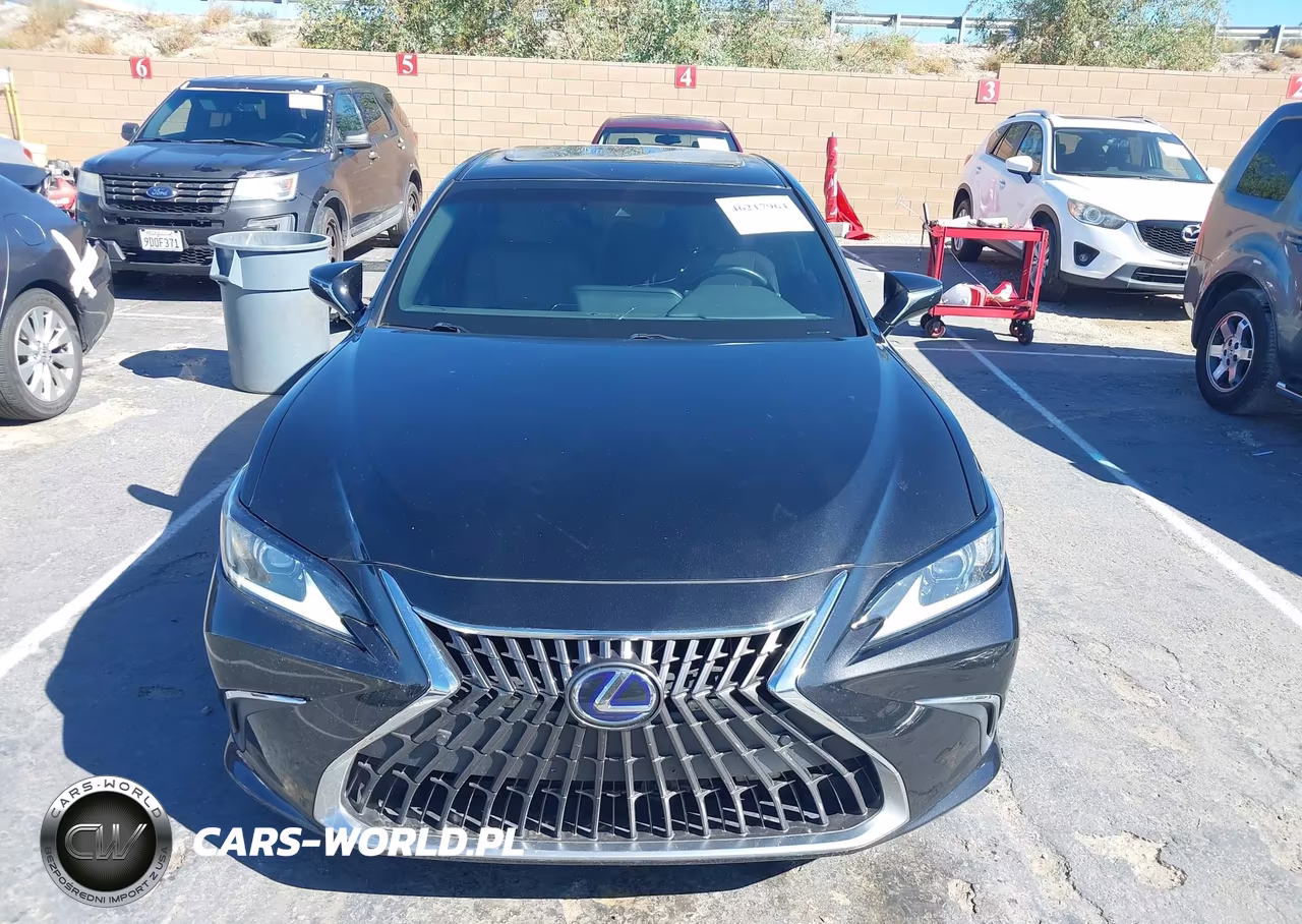 2022 Lexus Es 300H VIN:58ADA1C10NU024683 - 13