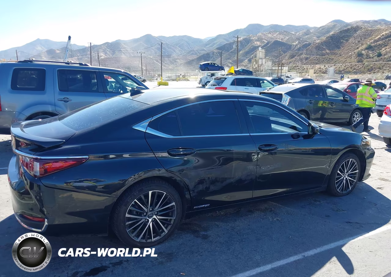 2022 Lexus Es 300H VIN:58ADA1C10NU024683 - 14