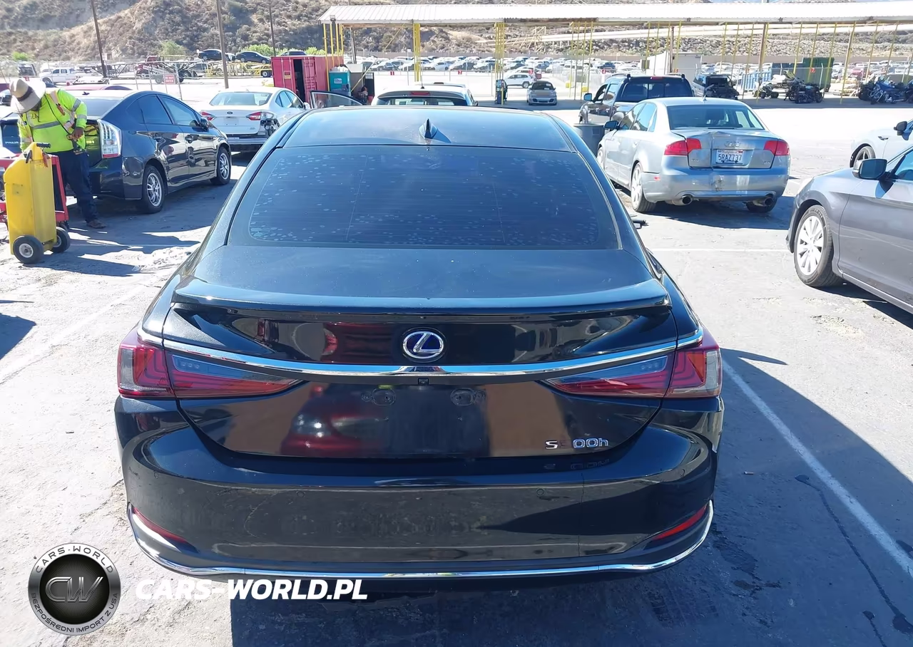 2022 Lexus Es 300H VIN:58ADA1C10NU024683 - 17