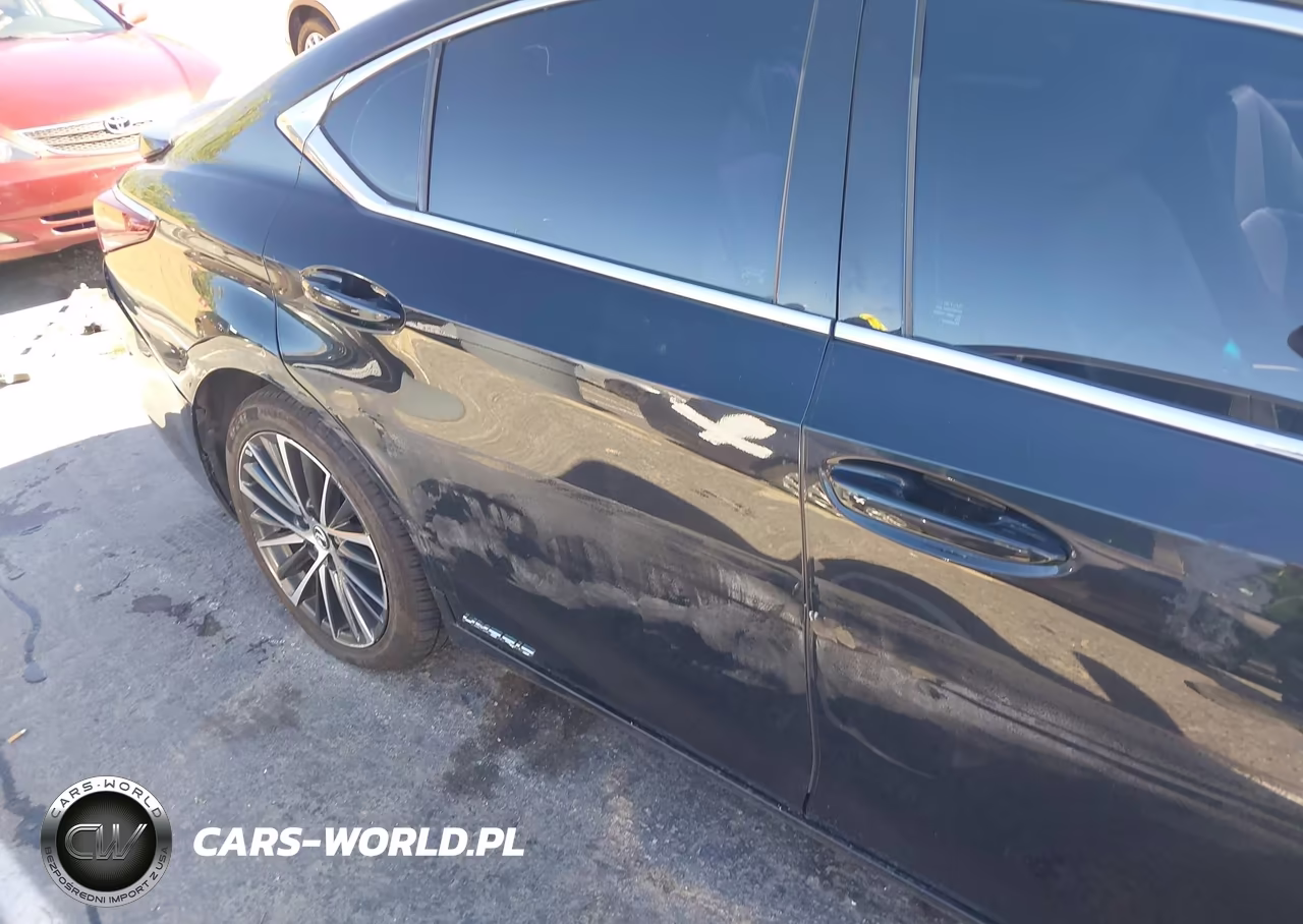 2022 Lexus Es 300H VIN:58ADA1C10NU024683 - 20
