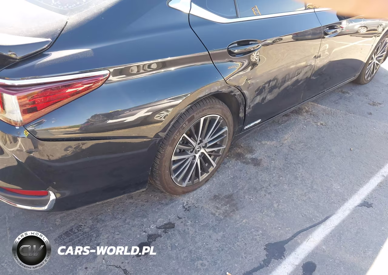2022 Lexus Es 300H VIN:58ADA1C10NU024683 - 21