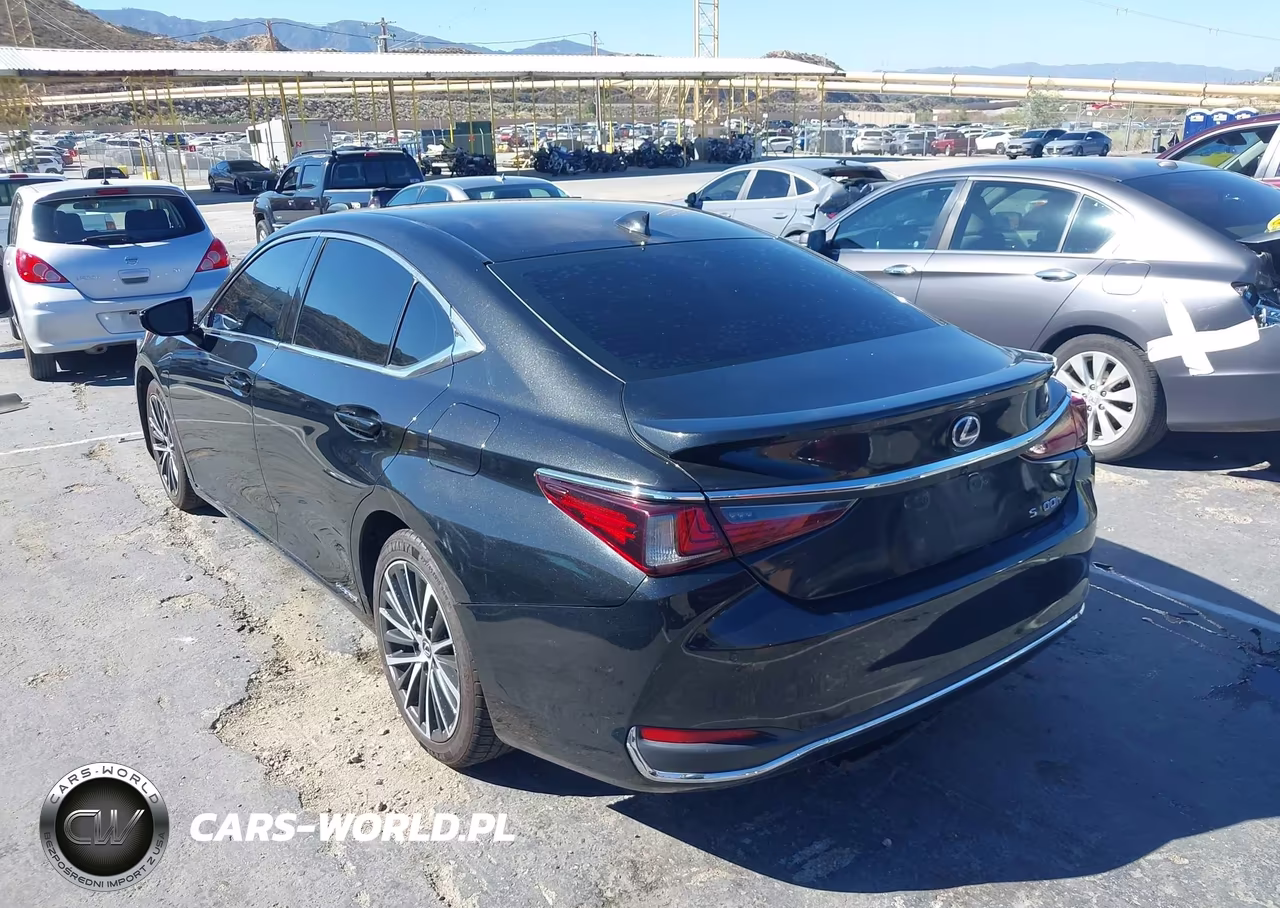2022 Lexus Es 300H VIN:58ADA1C10NU024683 - 3