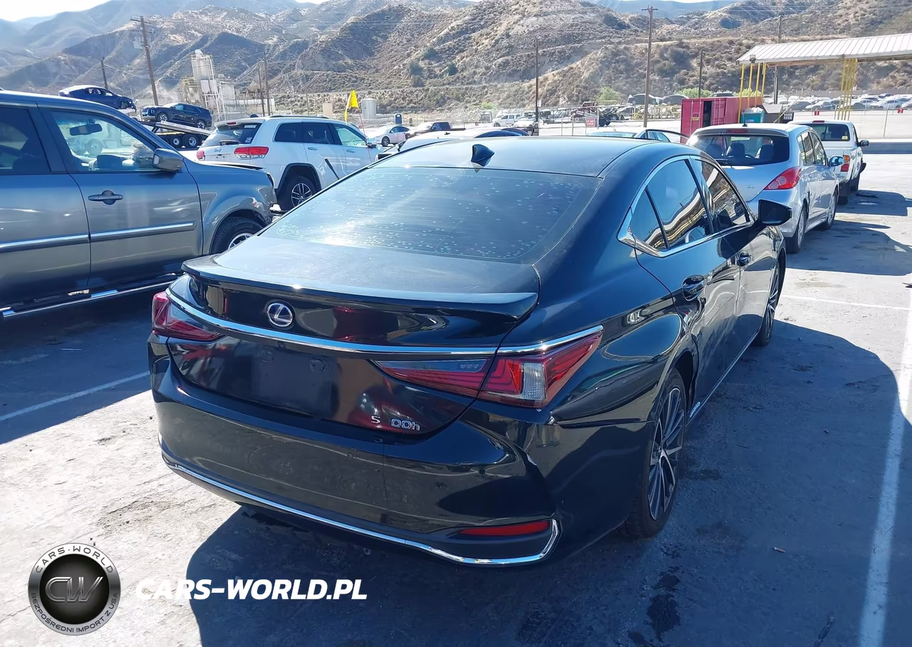 2022 Lexus Es 300H VIN:58ADA1C10NU024683 - 4