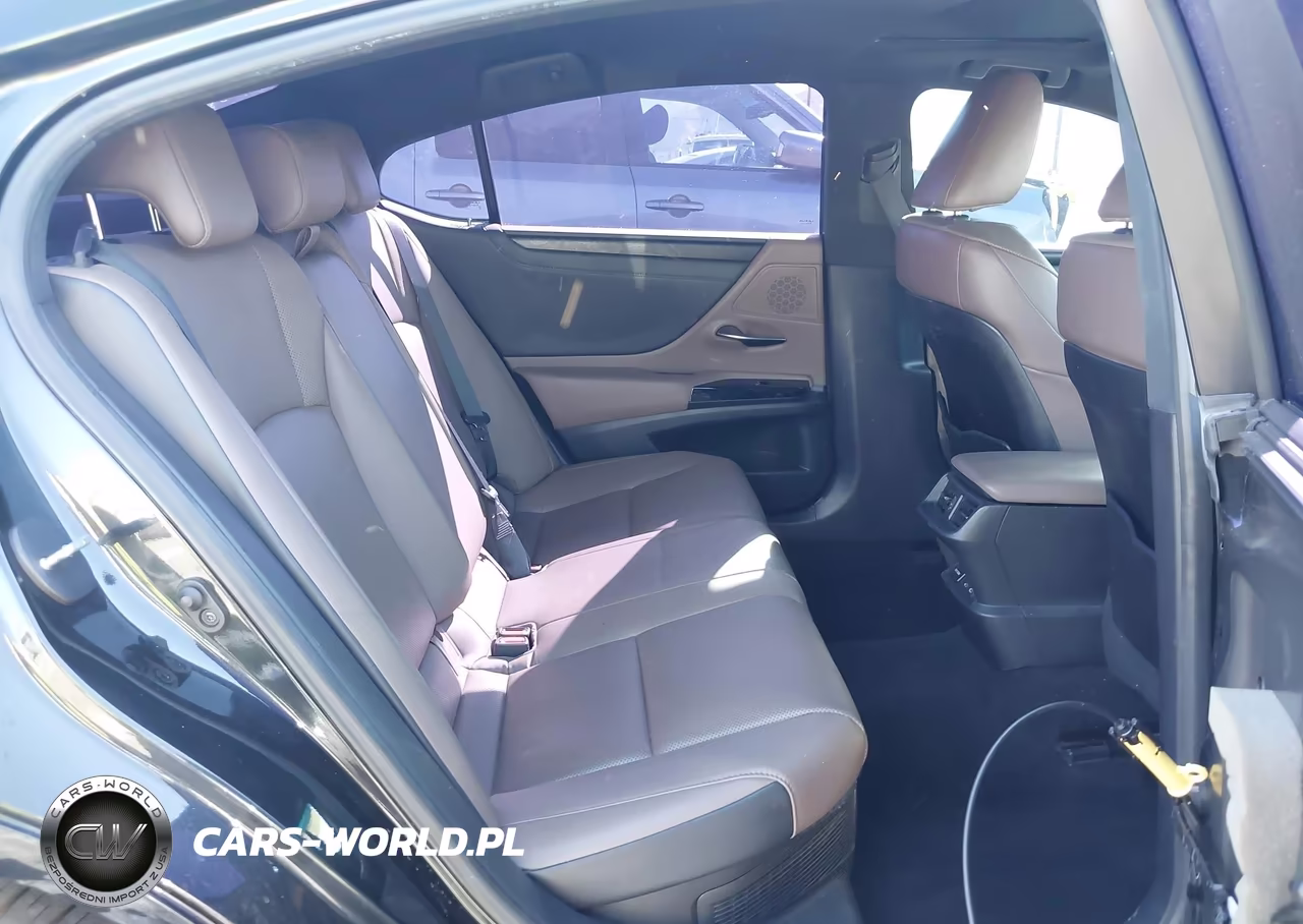 2022 Lexus Es 300H VIN:58ADA1C10NU024683 - 8