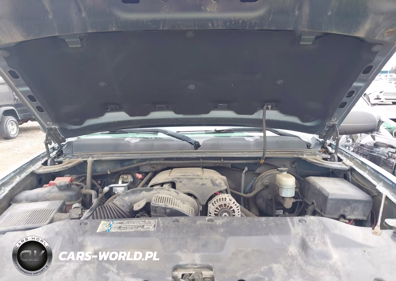 2010 Chevrolet Silverado 1500 Ls VIN:1GCSKREA9AZ277025 - 10