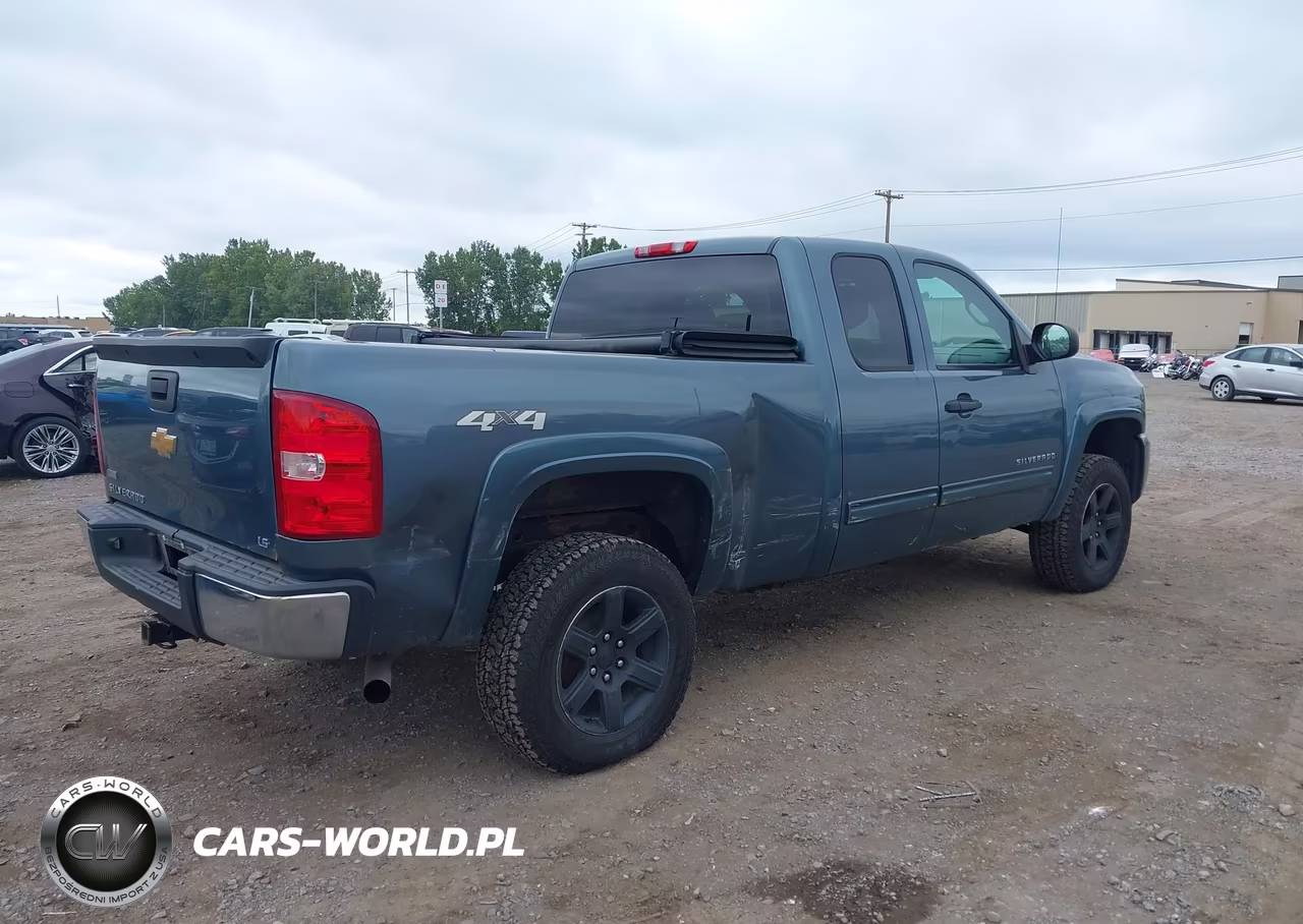 2010 Chevrolet Silverado 1500 Ls VIN:1GCSKREA9AZ277025 - 4