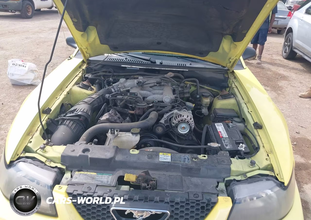 2003 Ford Mustang VIN:1FAFP44453F420922 - 10