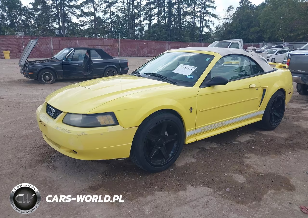 2003 Ford Mustang VIN:1FAFP44453F420922 - 2
