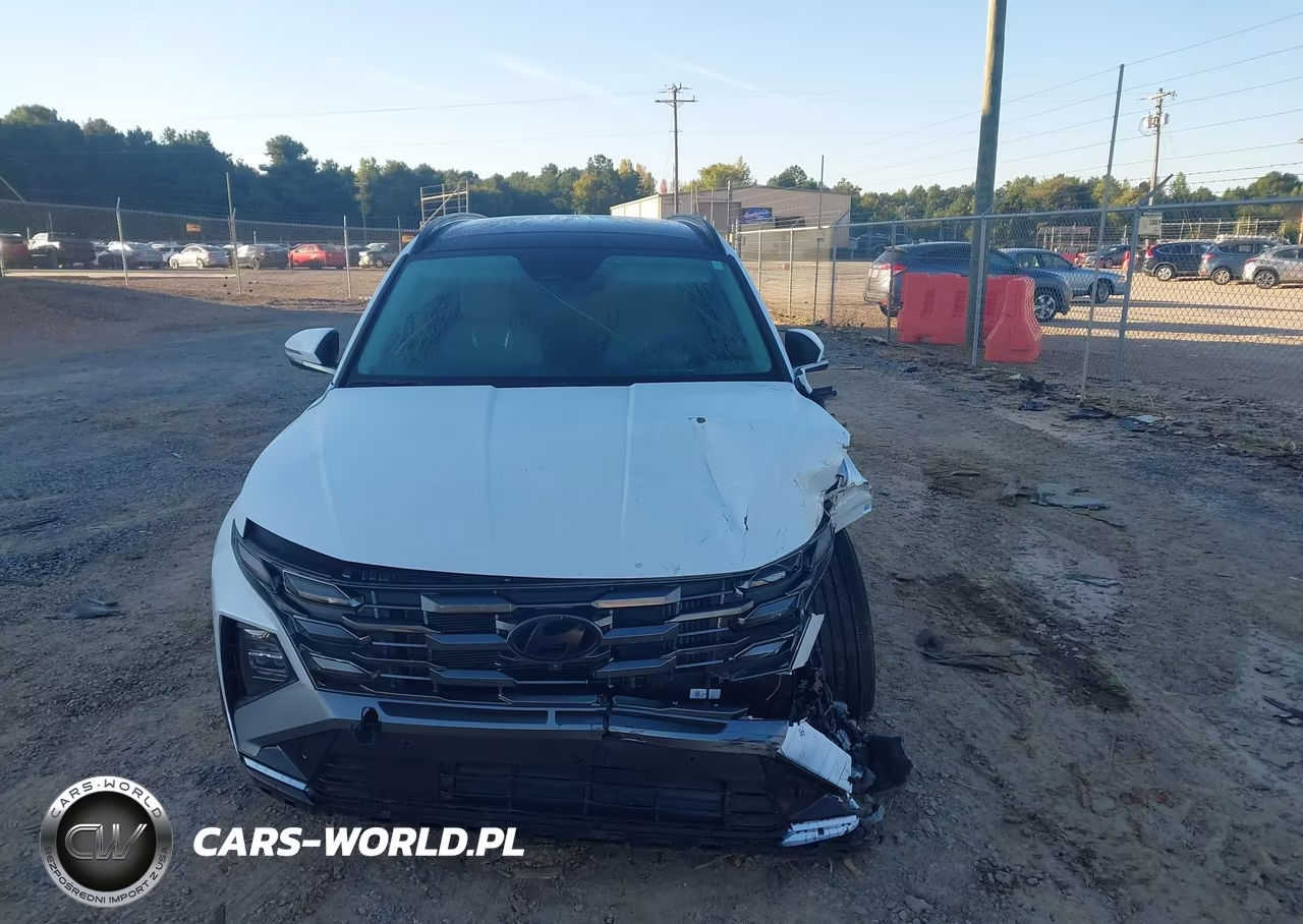 2025 Hyundai Tucson Hybrid Limited VIN:KM8JEDD18SU269774 - 13