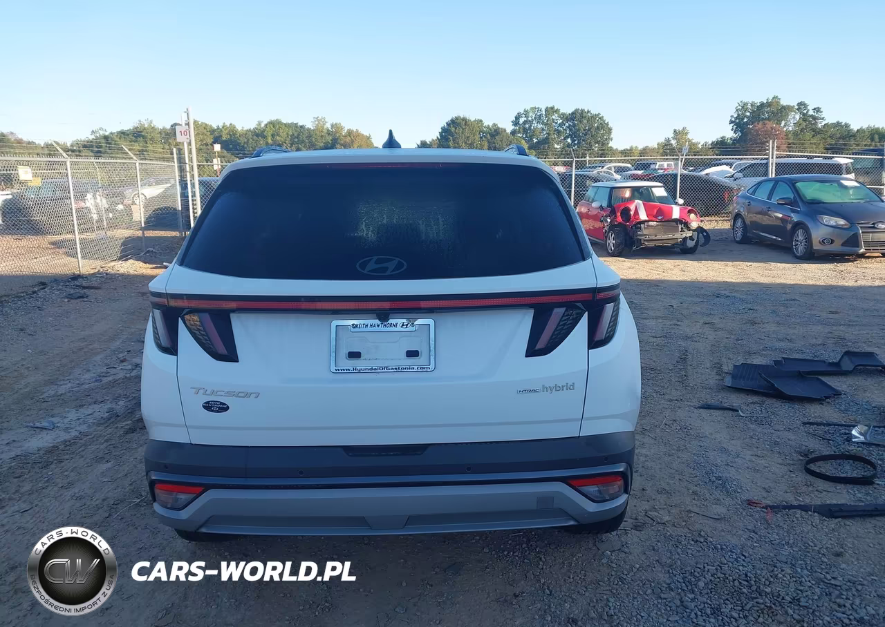 2025 Hyundai Tucson Hybrid Limited VIN:KM8JEDD18SU269774 - 17