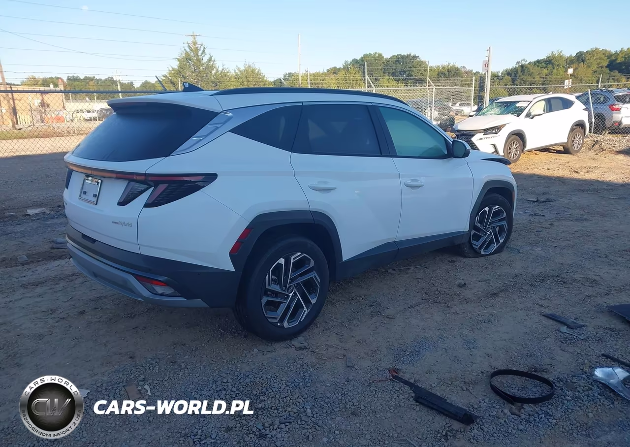 2025 Hyundai Tucson Hybrid Limited VIN:KM8JEDD18SU269774 - 4