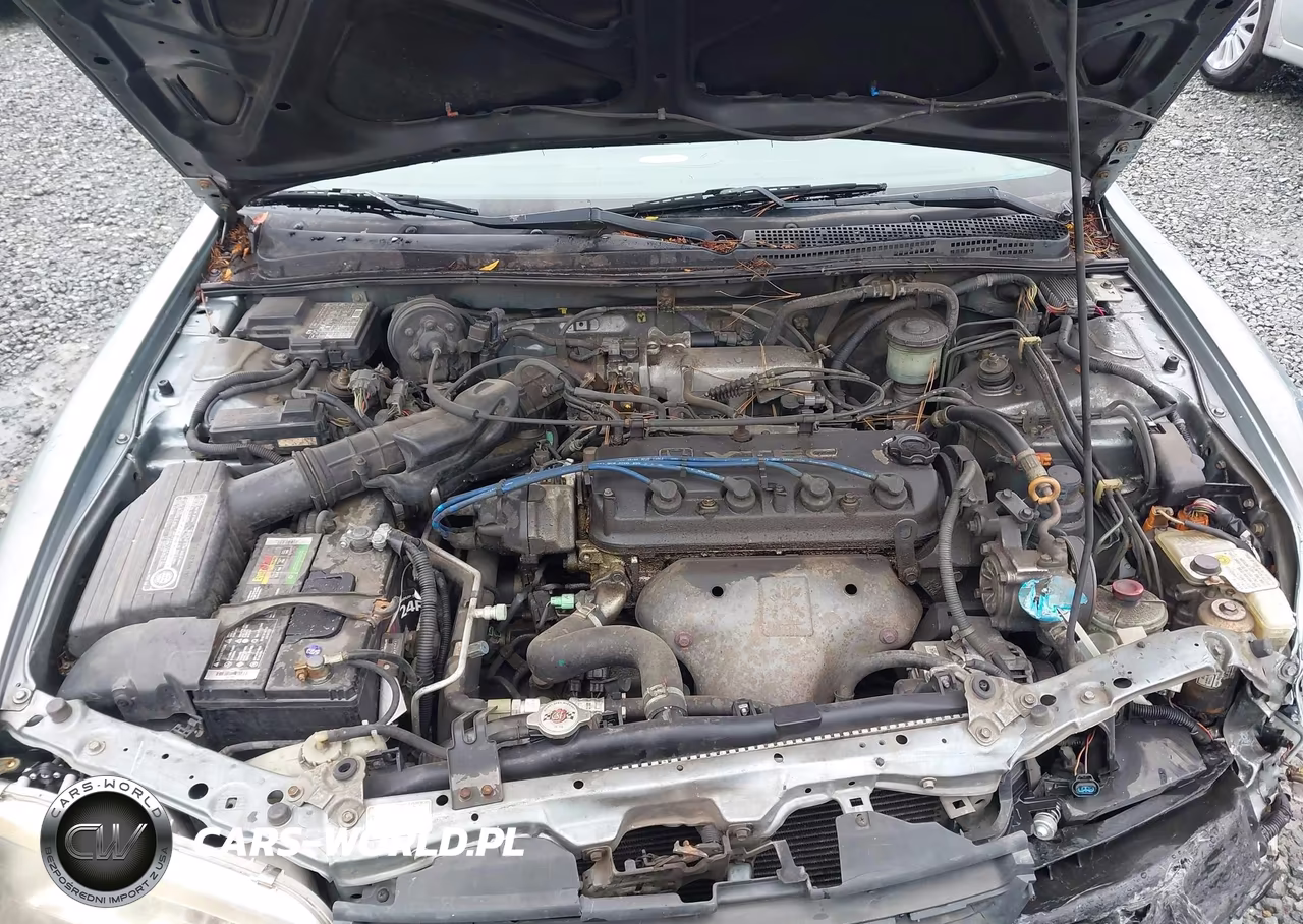 1994 Honda Accord Ex VIN:JHMCD5653RC059703 - 10