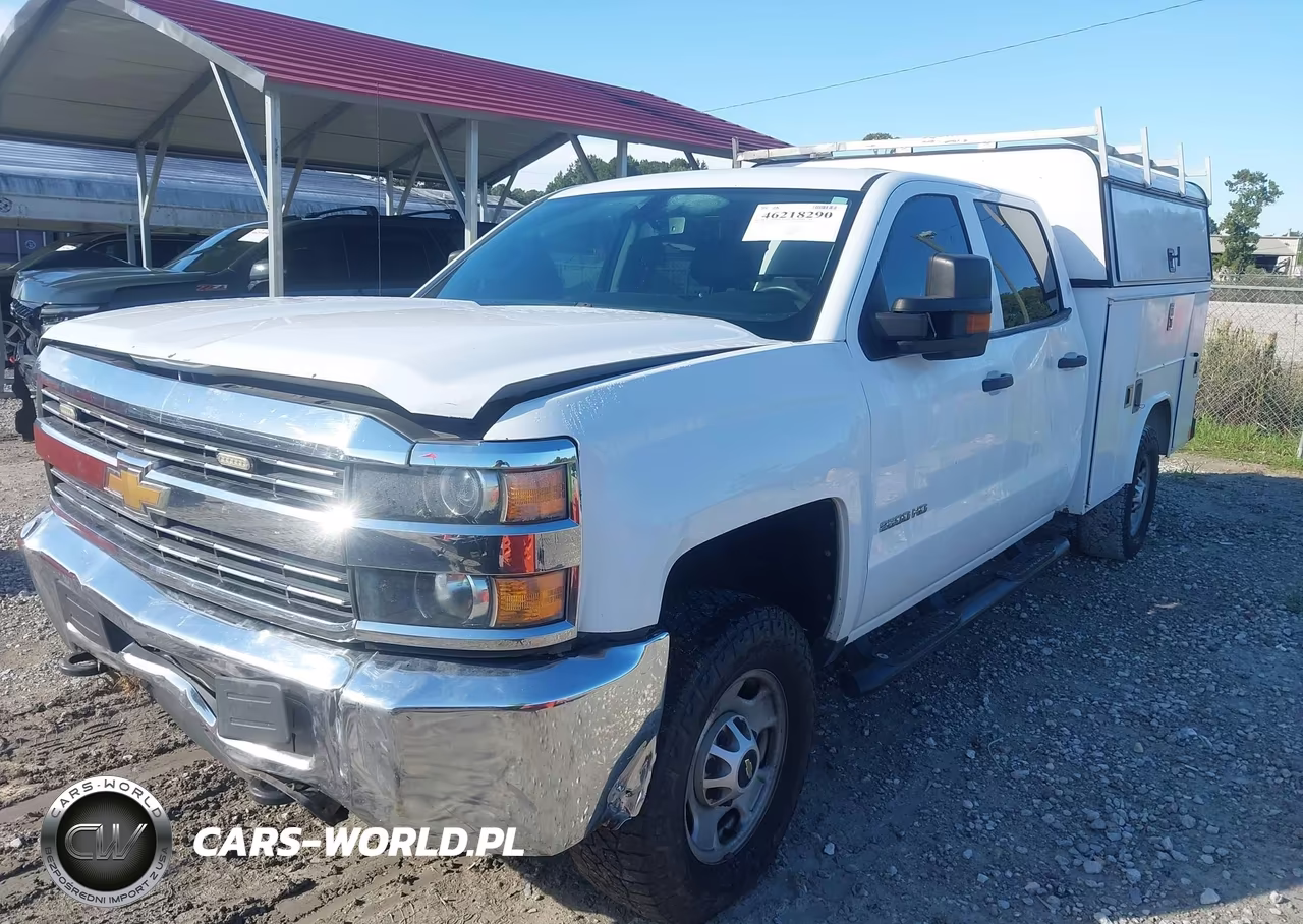 2017 Chevrolet Silverado 2500Hd Wt VIN:1GB1KUEG5HF219819 - 2