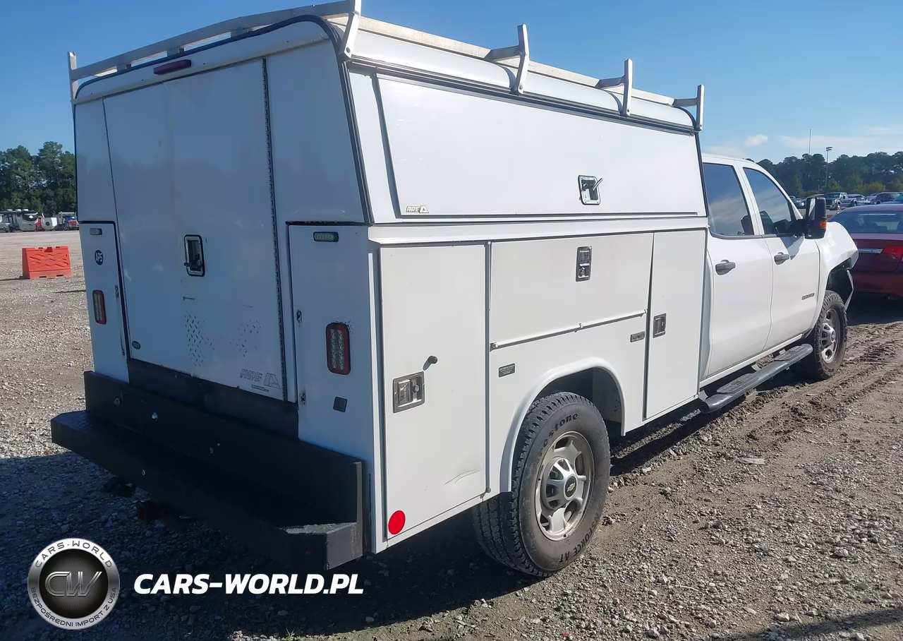 2017 Chevrolet Silverado 2500Hd Wt VIN:1GB1KUEG5HF219819 - 4