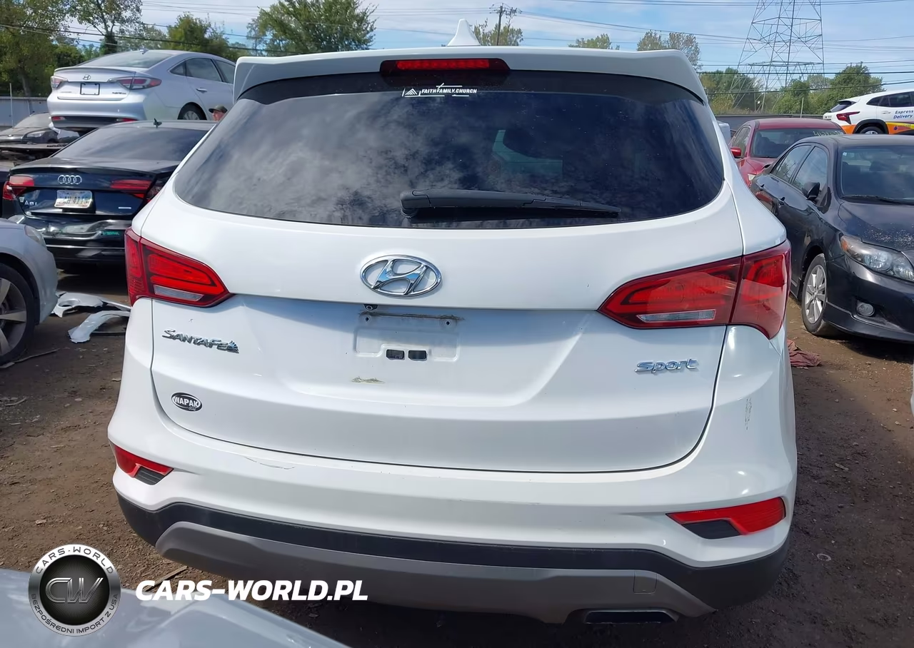 2017 Hyundai Santa Fe Sport 2.4L VIN:5XYZT3LB5HG405077 - 17