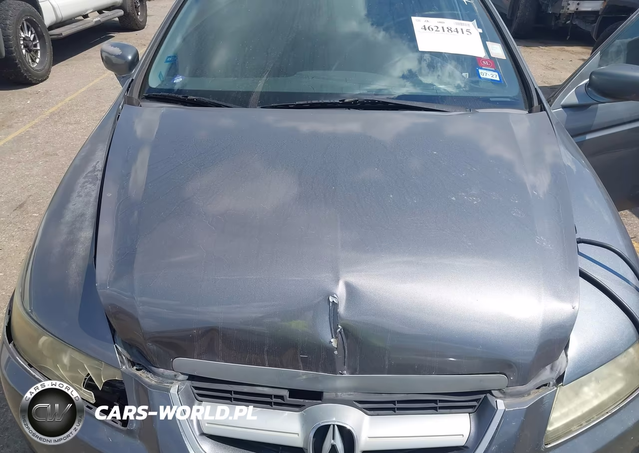2006 Acura Tl VIN:19UUA66206A040089 - 10