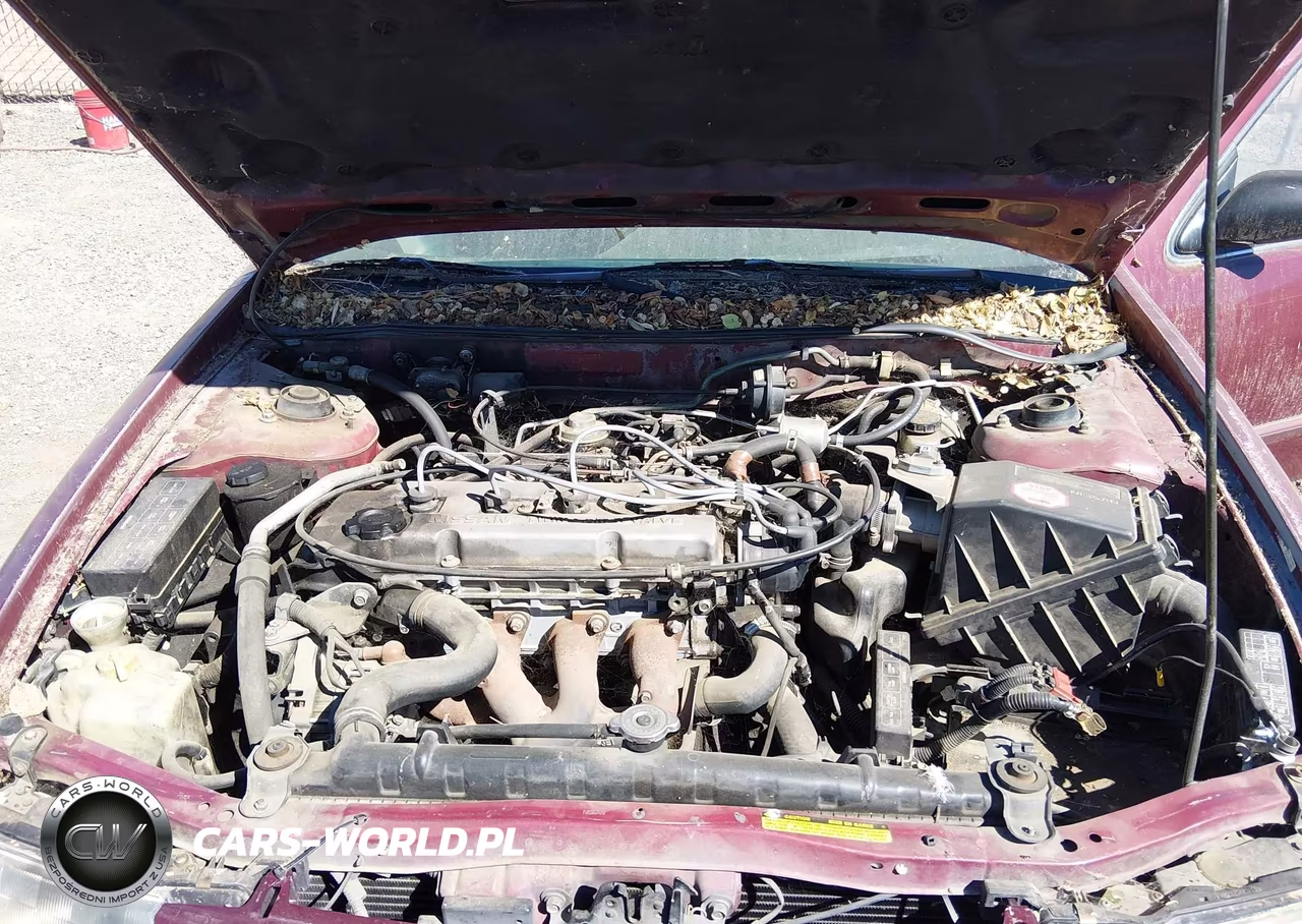 1994 Nissan Altima Xe-Gxe-Se-Gle VIN:1N4BU31D5RC217271 - 10