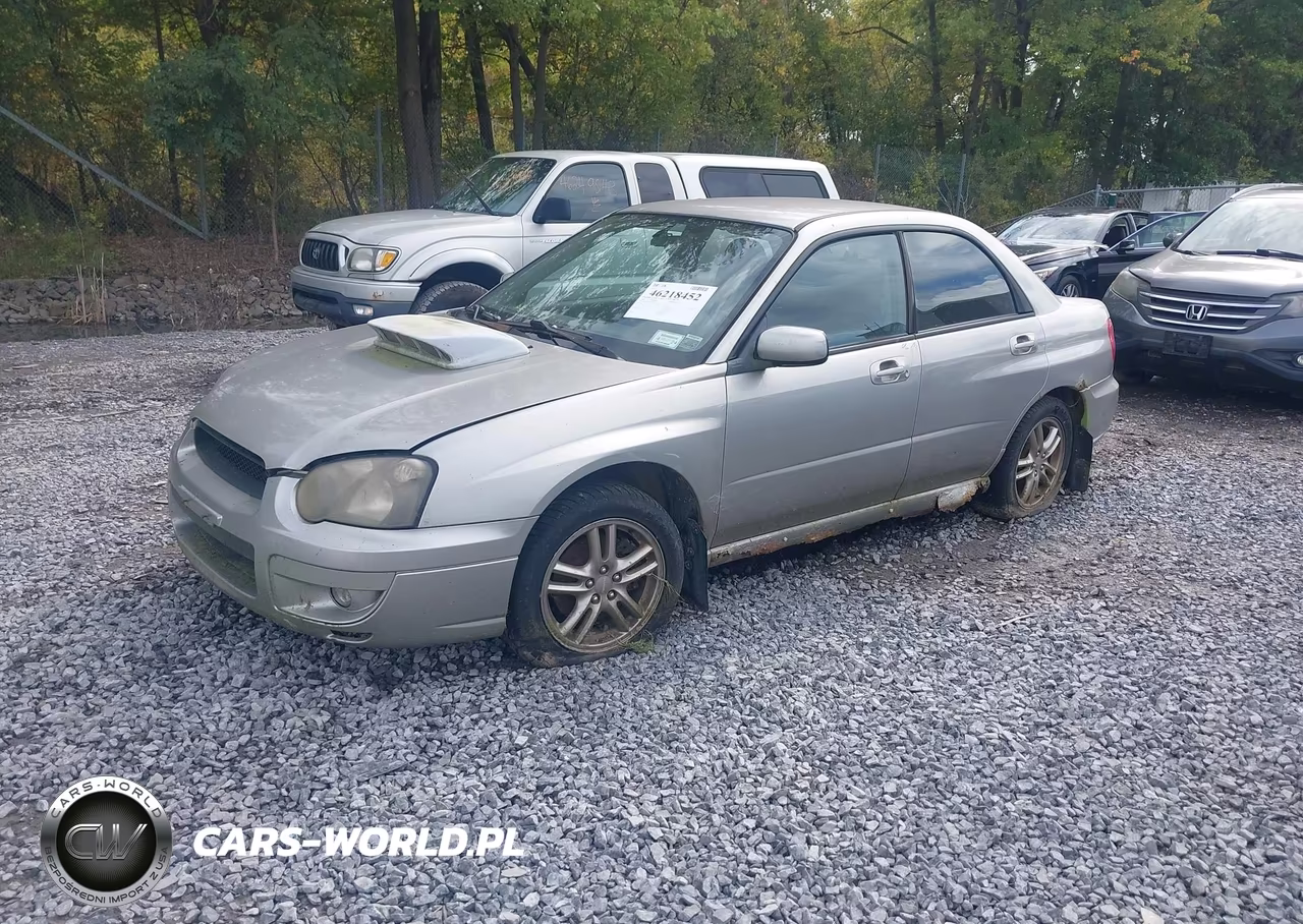 2005 Subaru Impreza Wrx VIN:JF1GD29655G509298 - 2