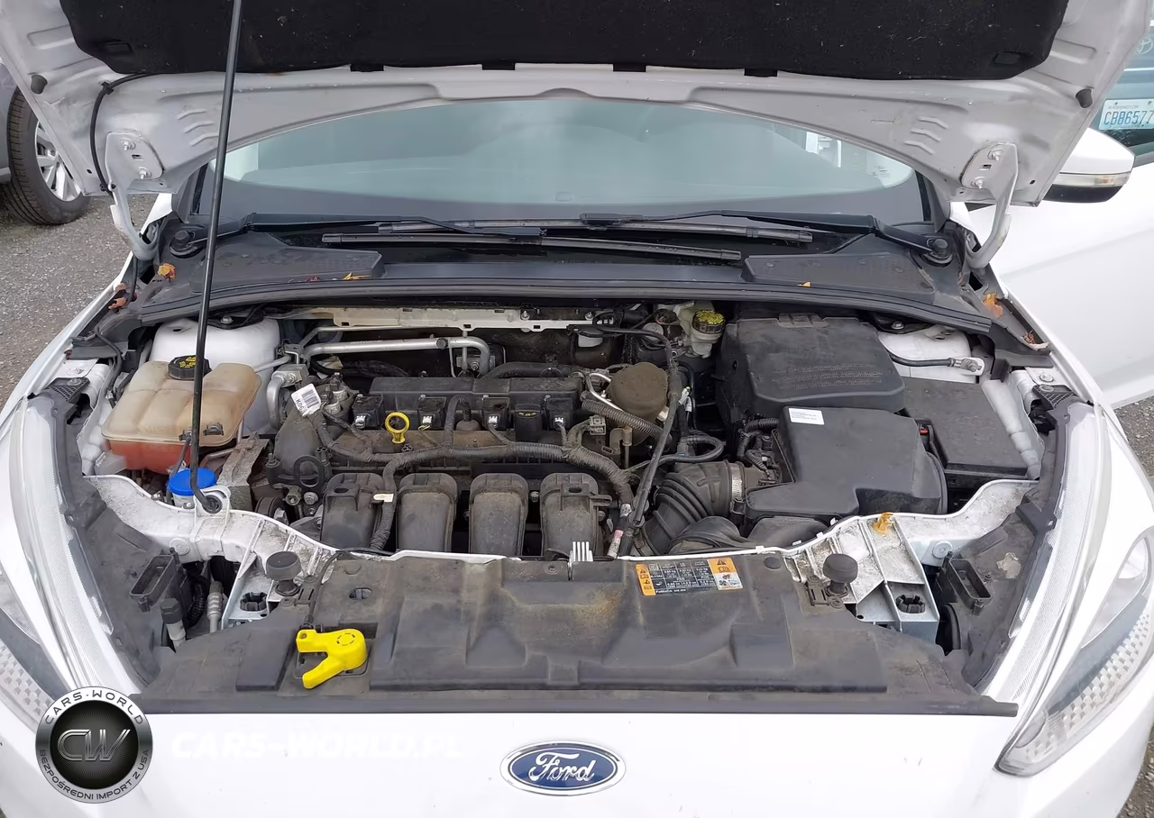 2015 Ford Focus Se VIN:1FADP3K27FL316117 - 10