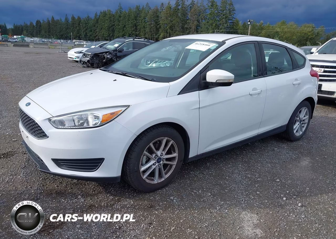 2015 Ford Focus Se VIN:1FADP3K27FL316117 - 2