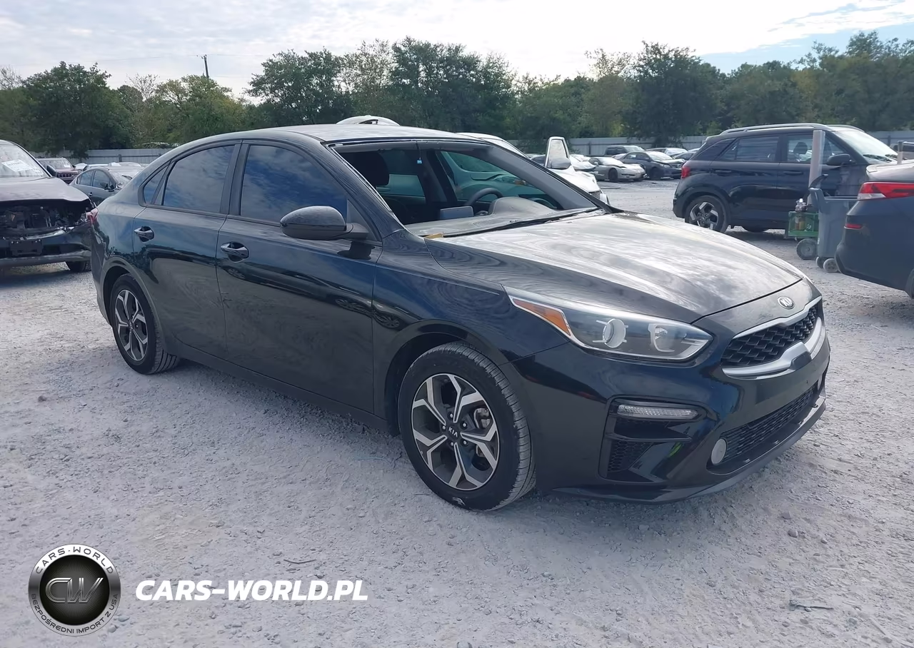 2019 Kia Forte Lxs