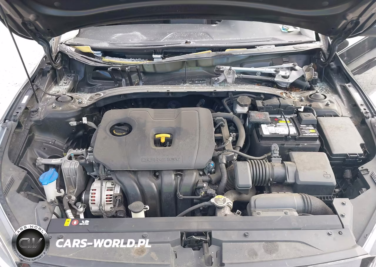 2019 Kia Forte Lxs VIN:3KPF24AD8KE043959 - 10
