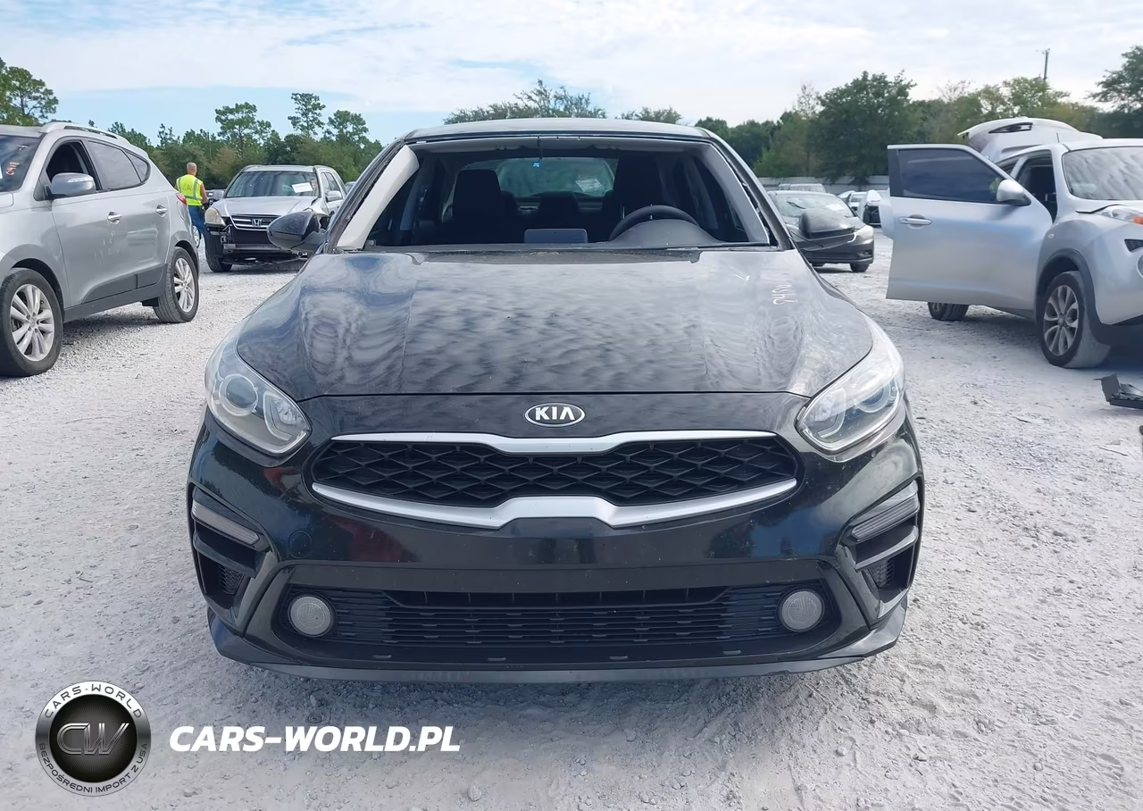 2019 Kia Forte Lxs VIN:3KPF24AD8KE043959 - 13