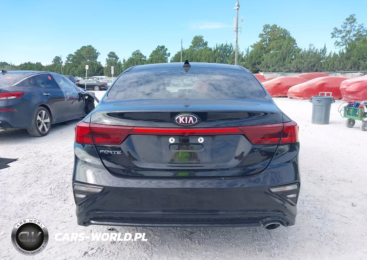 2019 Kia Forte Lxs VIN:3KPF24AD8KE043959 - 17