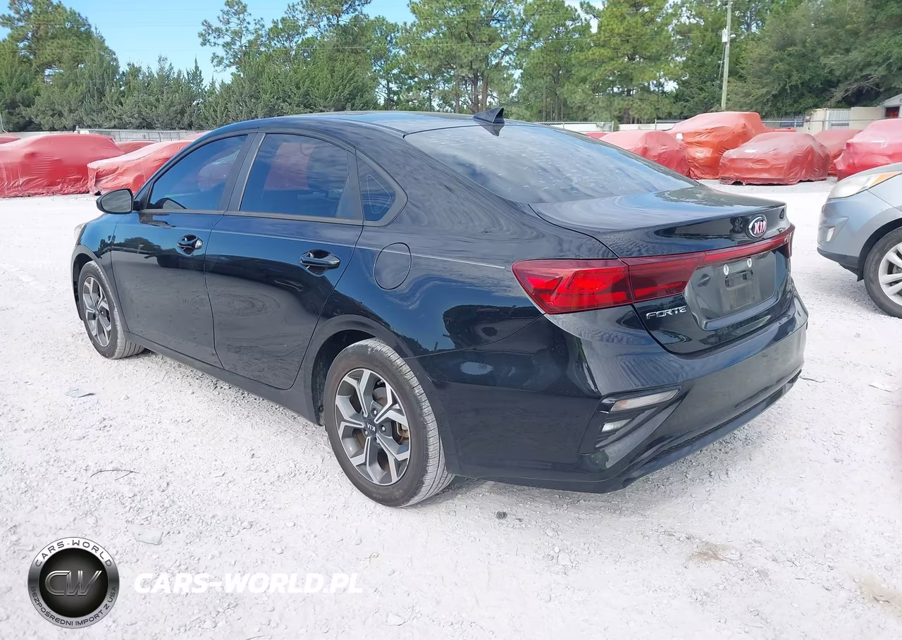 2019 Kia Forte Lxs VIN:3KPF24AD8KE043959 - 3