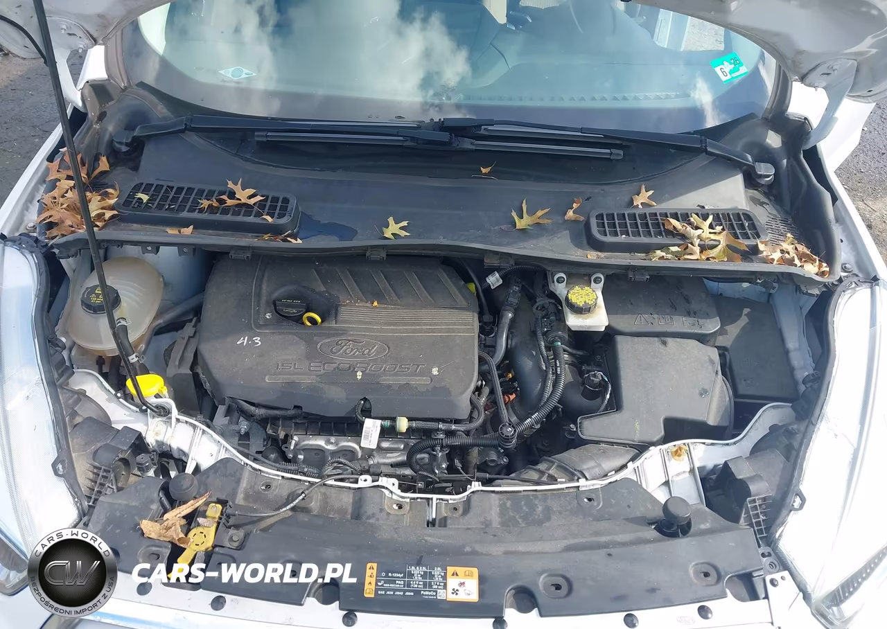 2019 Ford Escape Se VIN:1FMCU0GDXKUA91103 - 10