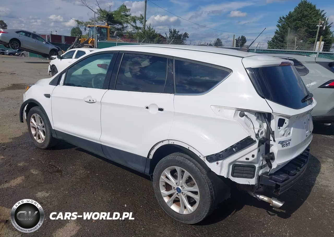 2019 Ford Escape Se VIN:1FMCU0GDXKUA91103 - 3