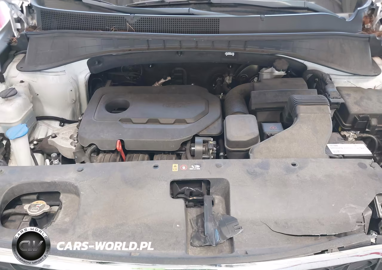 2020 Kia Sorento 2.4L L VIN:5XYPG4A30LG678661 - 10
