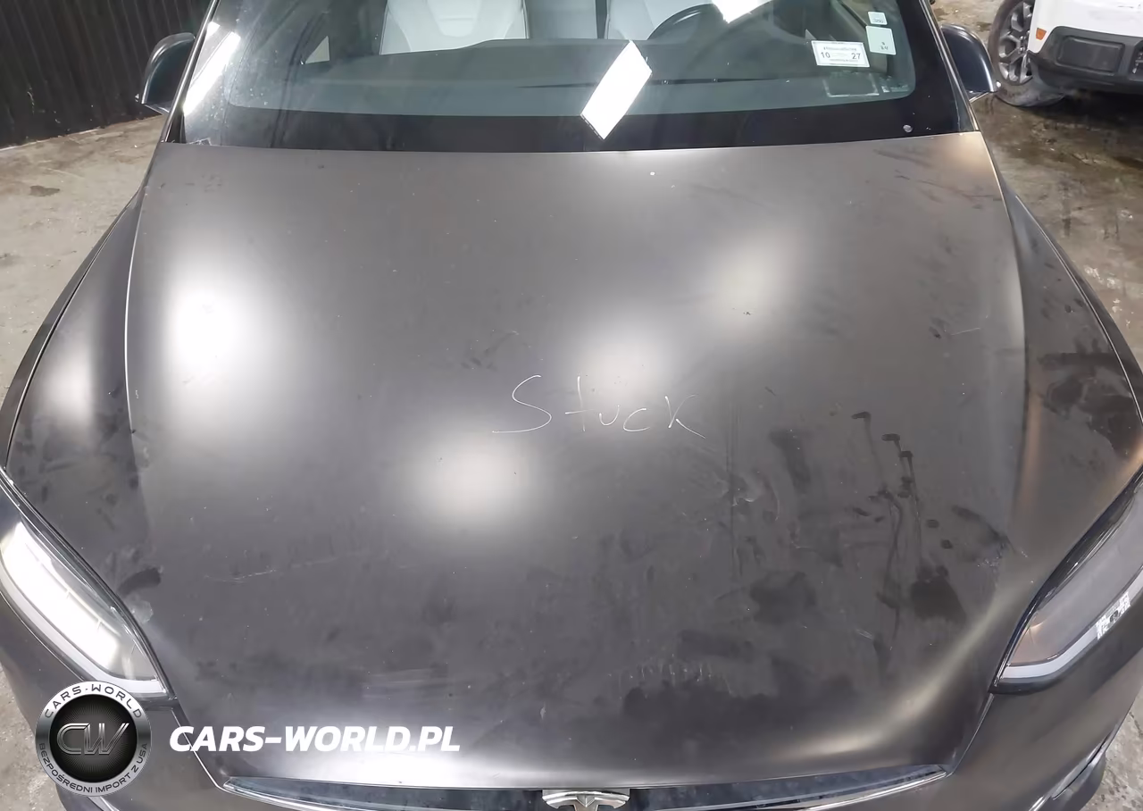 2016 Tesla Model X 60D-70D-75D-90D VIN:5YJXCAE26GF014602 - 10