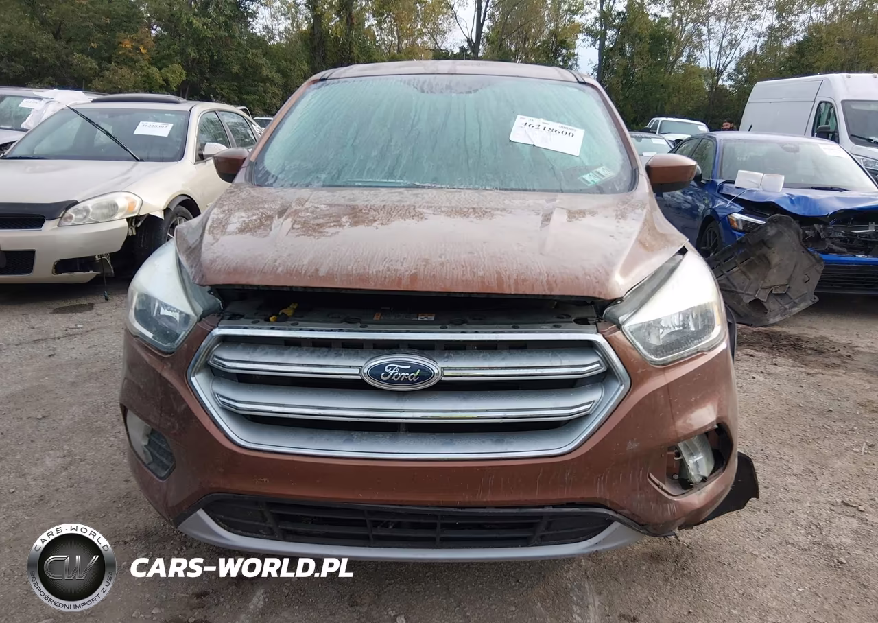 2017 Ford Escape Se VIN:1FMCU9GD9HUA11075 - 11