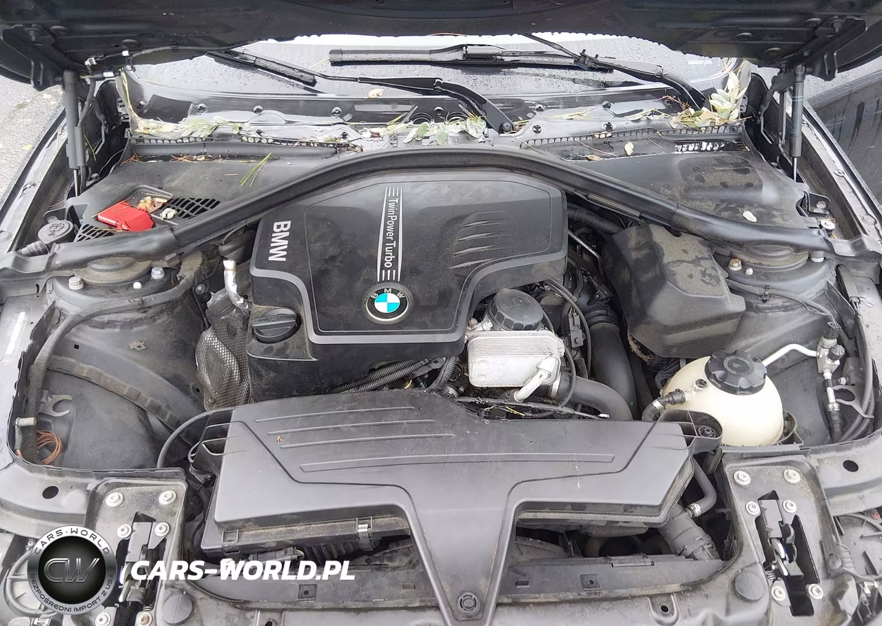 2014 BMW 428I xDrive VIN:WBA3N9C5XEK244676 - 10