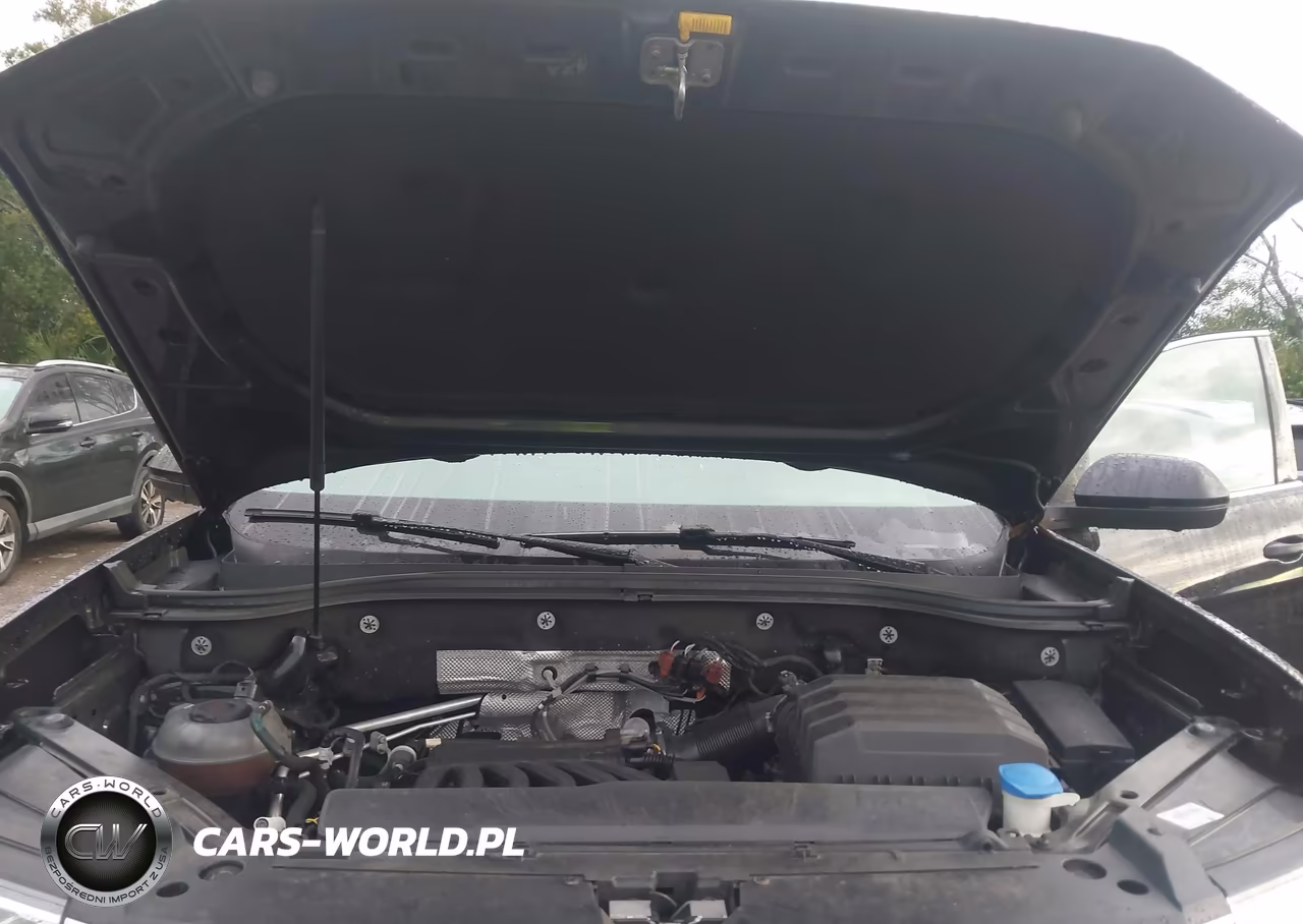 2019 Volkswagen Atlas 3.6L V6 Sel Premium VIN:1V2NR2CA4KC579294 - 10