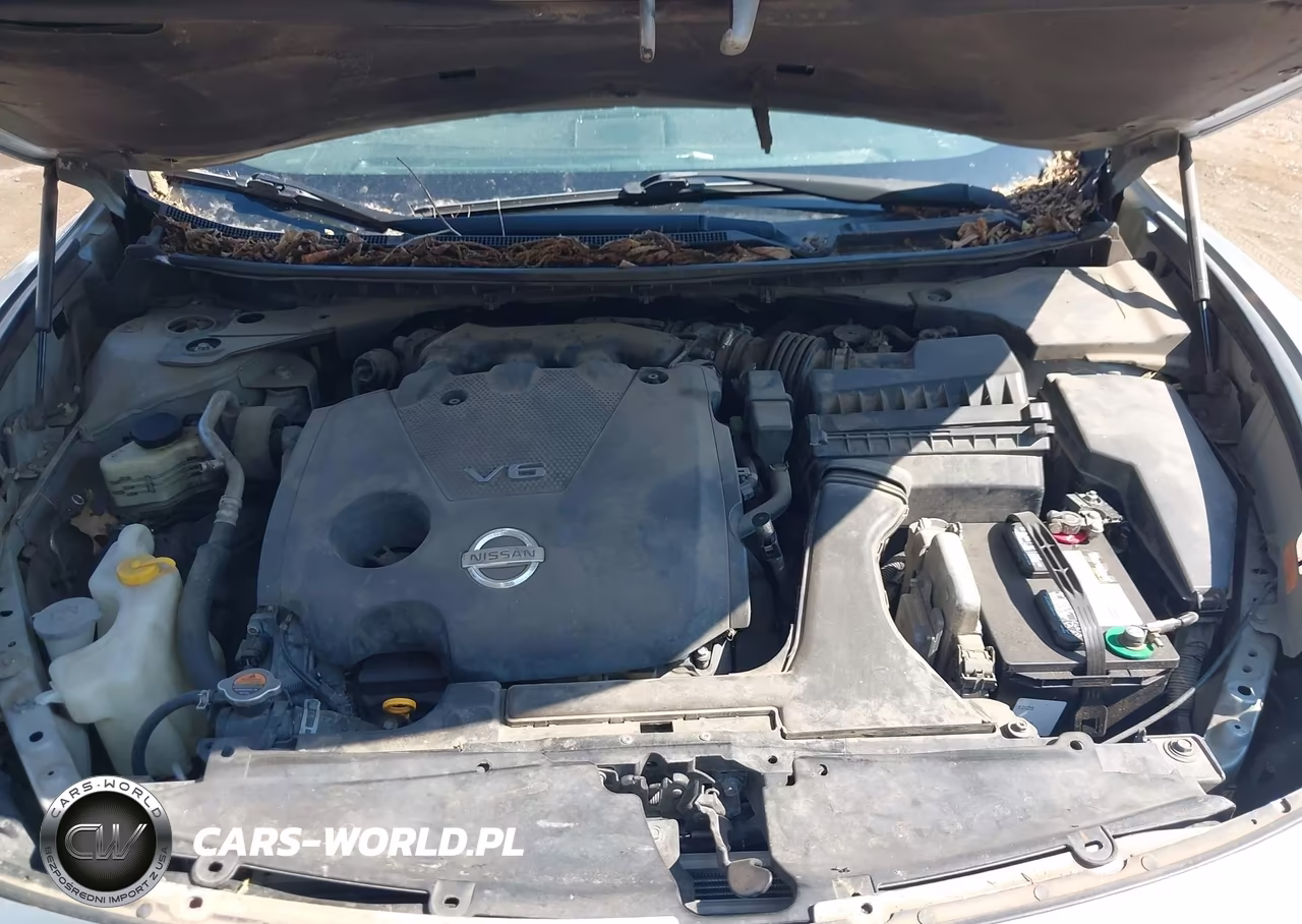 2009 Nissan Maxima 3.5 Sv VIN:1N4AA51E19C841867 - 10