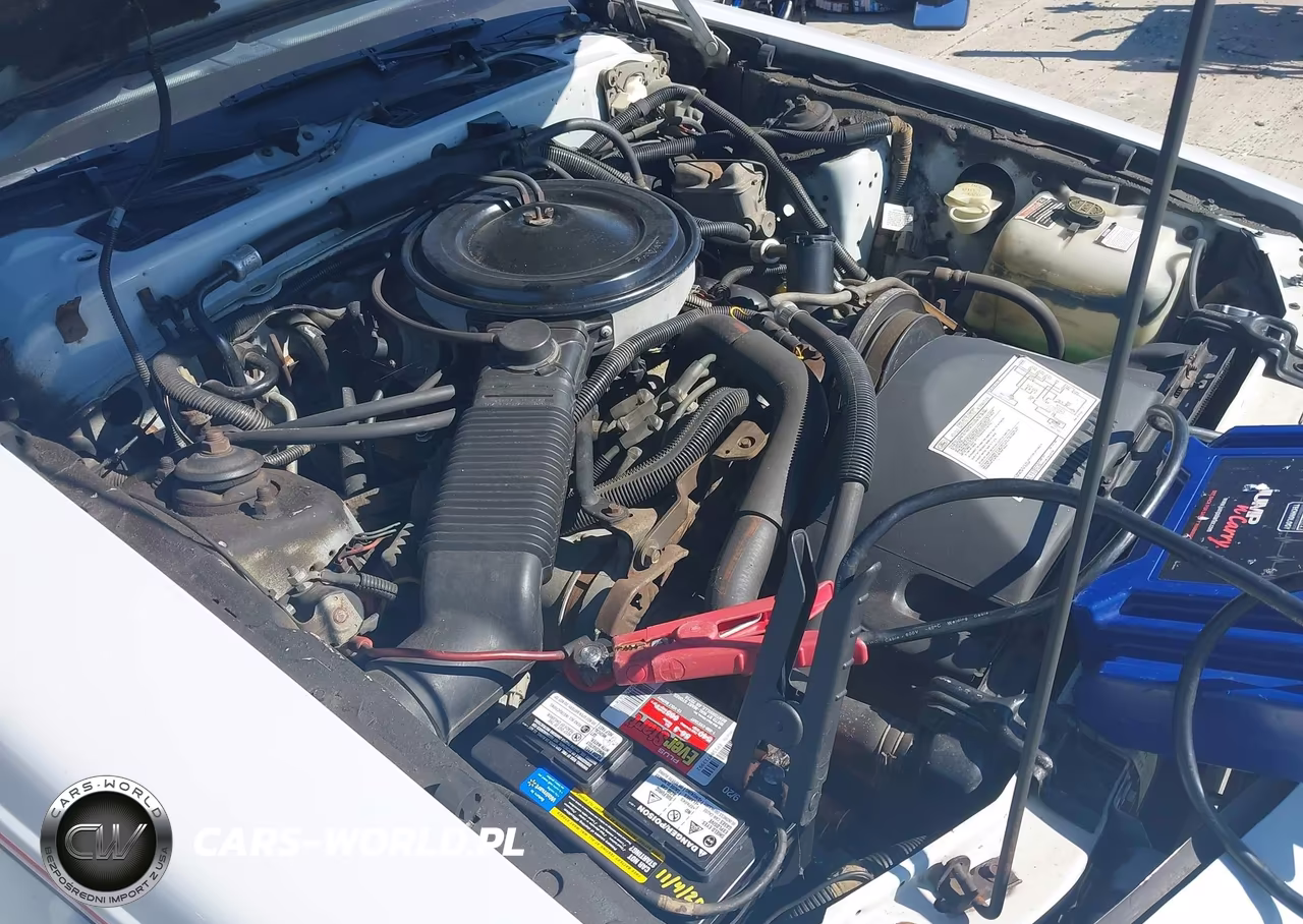 1985 Ford Thunderbird VIN:1FABP4635FH102651 - 12