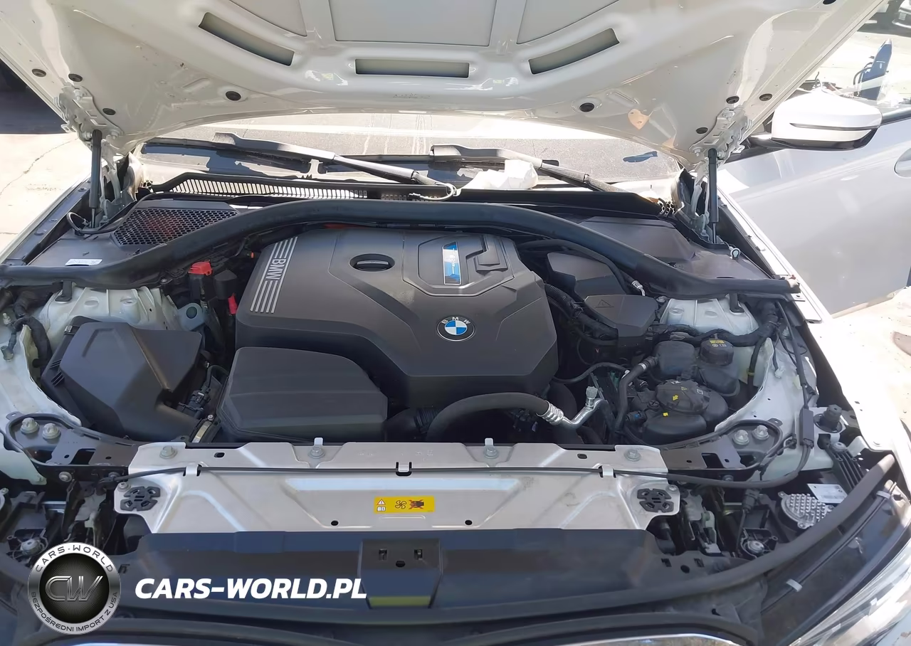 2022 BMW 330E VIN:3MW5P7J03N8C33924 - 10