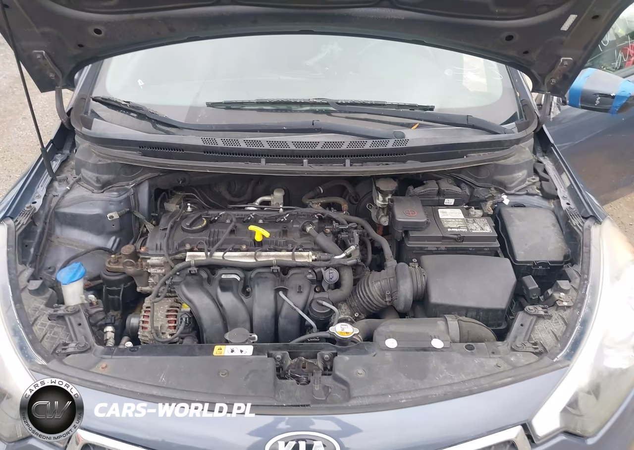 2016 Kia Forte Lx VIN:KNAFX4A61G5440772 - 10