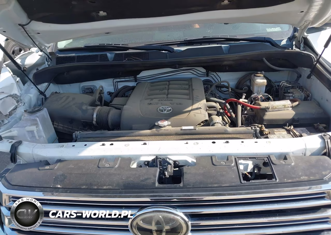 2019 Toyota Tundra 1794 5.7L V8 VIN:5TFAY5F18KX821366 - 10