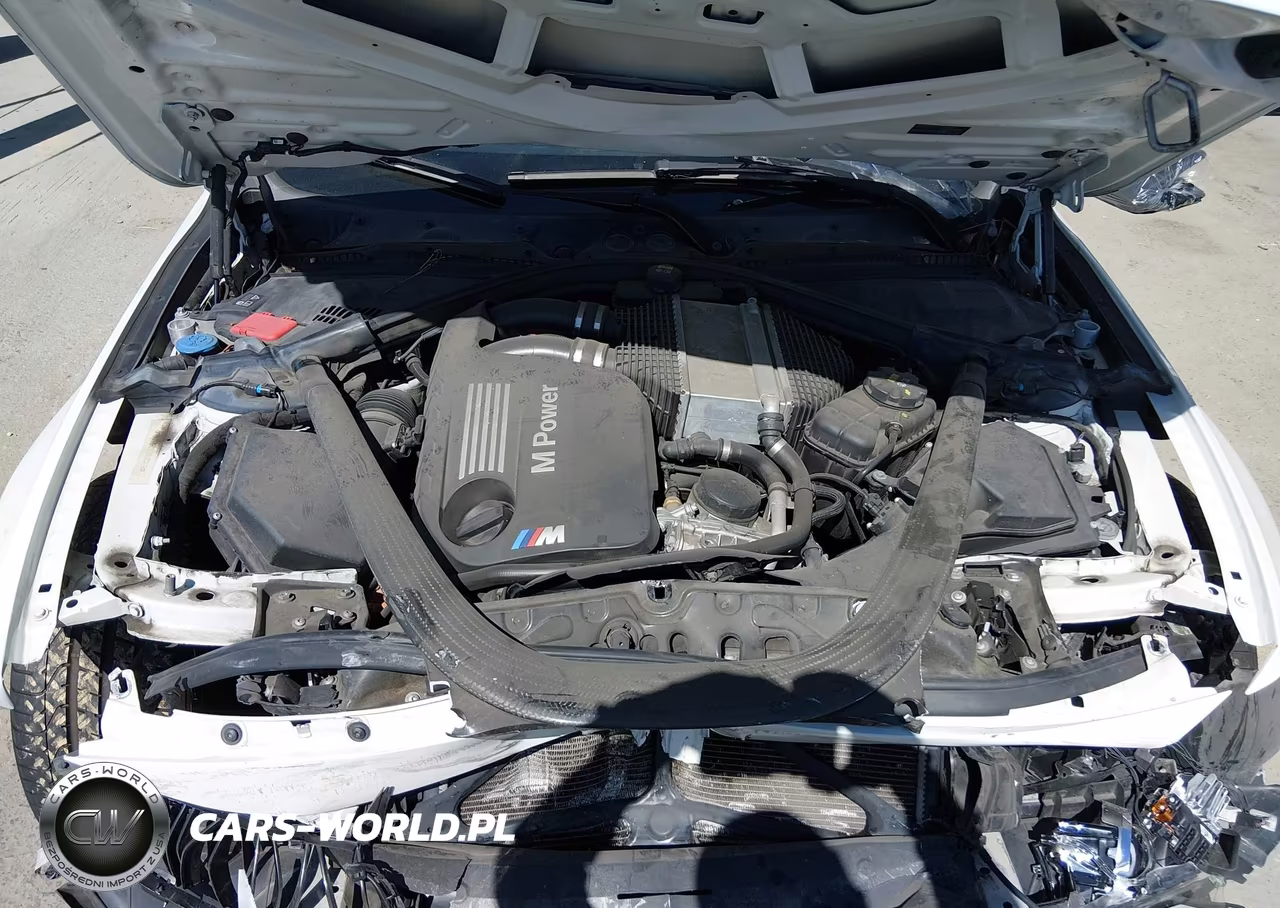 2018 BMW M3 VIN:WBS8M9C51J5L00419 - 10