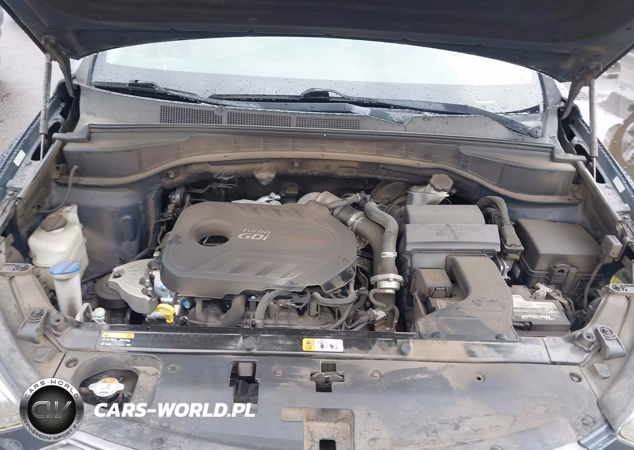 2017 Hyundai Santa Fe Sport 2.0T Ultimate VIN:5XYZW4LA1HG454135 - 10